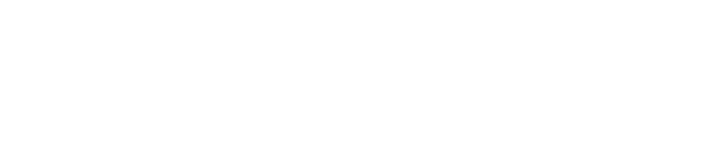 Igor Nicolau Team